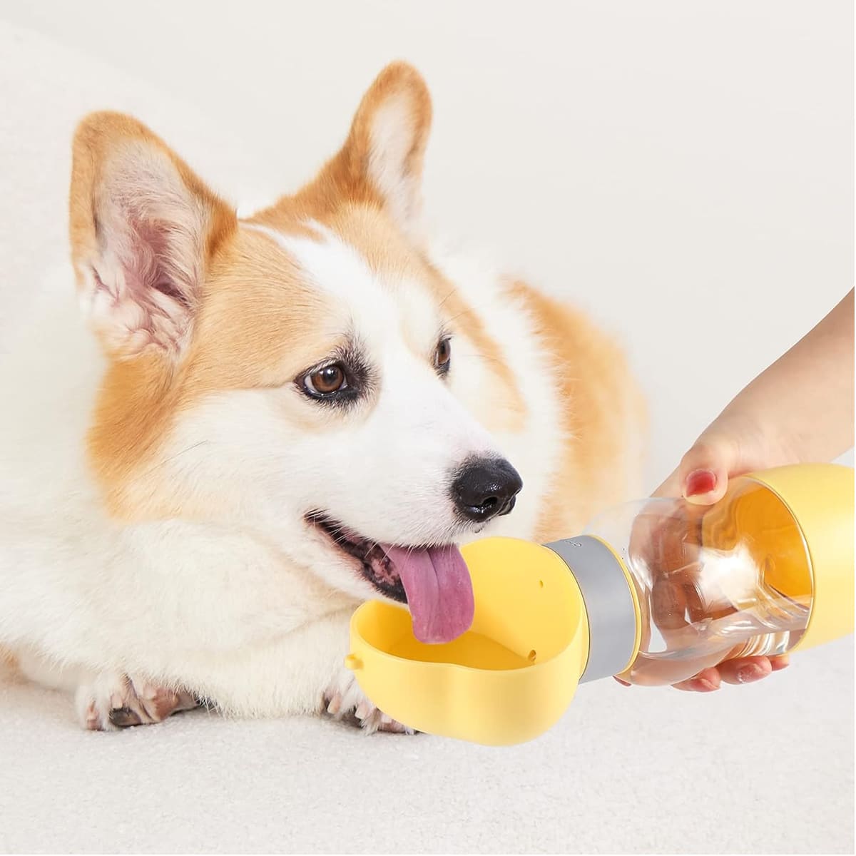 2 in 1 Portable Outdoor Dog Water Bottle